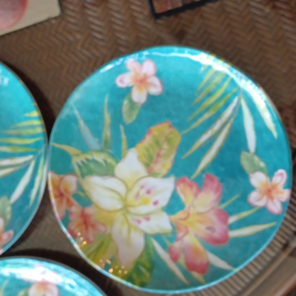 Nwot Cynthia Coulter tropical melamine plates 11"